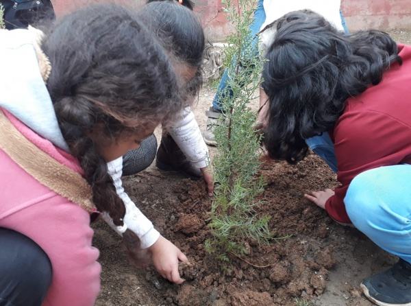 Okul Bahçemizin Ağaçlandırılması ve Peyzaj Çalışması